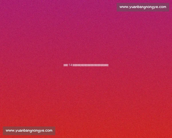 生死战 14 连铁！铁神榜榜首竟是他，神射手雷・阿伦意外屈居第二