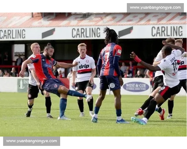 卡罗尔英六级首秀黯淡 达根汉姆主场 2-5 溃败沃森