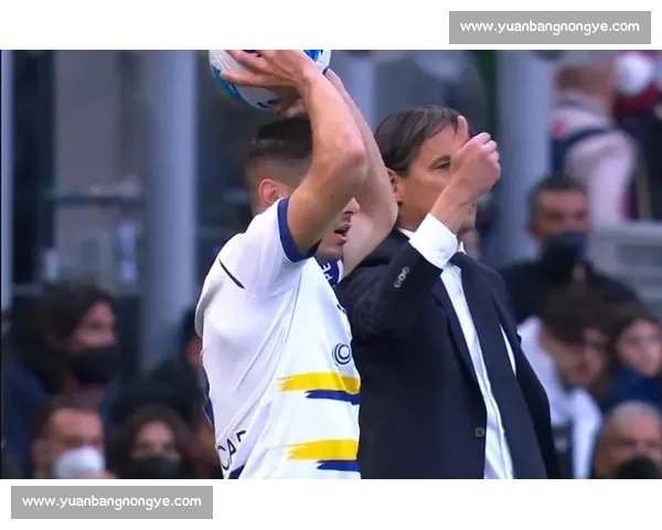 恩德里克冲刺复出 皇马 9 号之争白热化