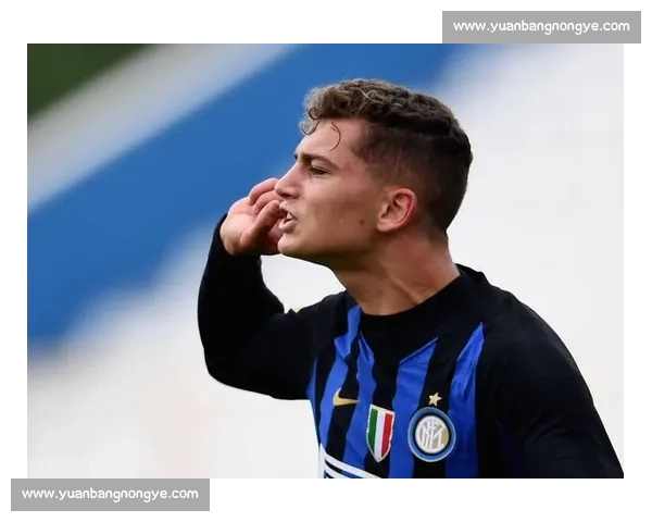 法媒曝国米与塔雷米失联 俱乐部紧急澄清球员安全 法媒曝国米与塔雷米失联 俱乐部紧急澄清球员安全