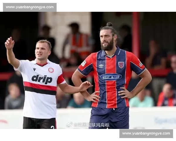 卡罗尔英六级首秀黯淡 达根汉姆主场 2-5 溃败沃森