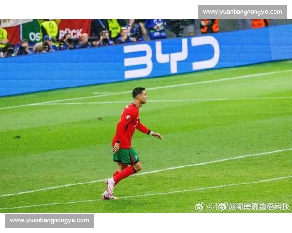 绿茵狂飙:冷门重塑世界杯格局 绿茵狂飙:冷门重塑世界杯格局