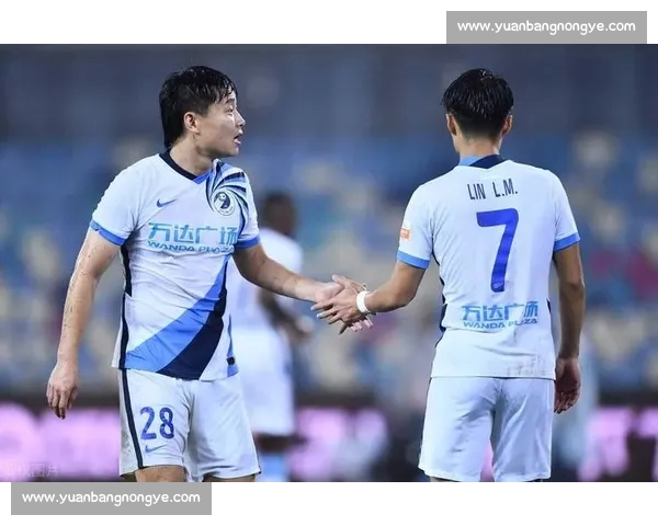 恩德里克冲刺复出 皇马 9 号之争白热化