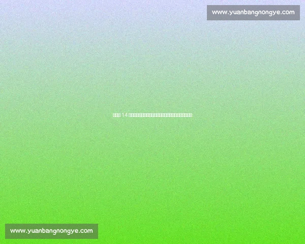 生死战 14 连铁！铁神榜榜首竟是他，神射手雷・阿伦意外屈居第二