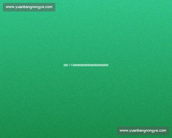 生死战 14 连铁！铁神榜榜首竟是他，神射手雷・阿伦意外屈居第二